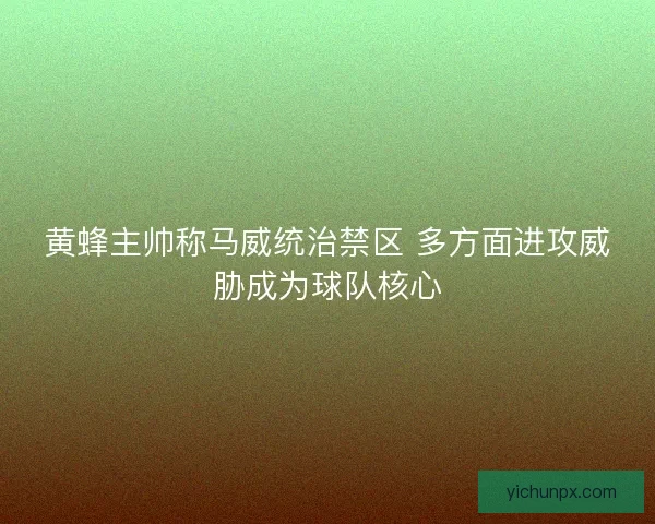 黄蜂主帅称马威统治禁区 多方面进攻威胁成为球队核心 黄蜂主帅称马威统治禁区 多方面进攻威胁成为球队核心