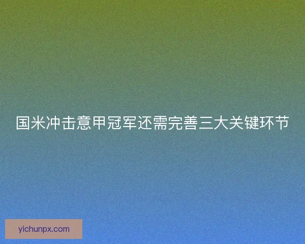 国米冲击意甲冠军还需完善三大关键环节 国米冲击意甲冠军还需完善三大关键环节