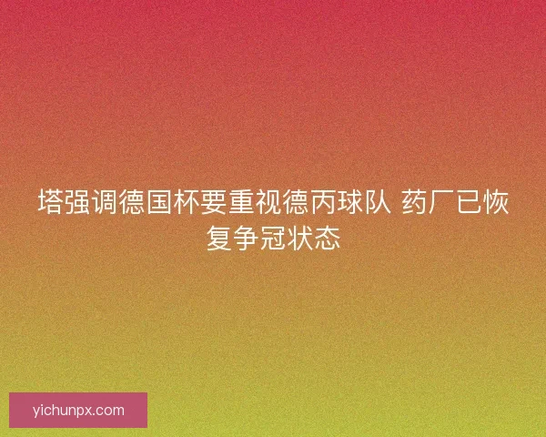 塔强调德国杯要重视德丙球队 药厂已恢复争冠状态
